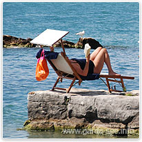 Der Gardasee - Urlaub pur urlauber, gardasee